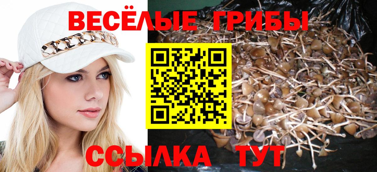 Галлюциногенные грибы ЛСД Екатеринбург